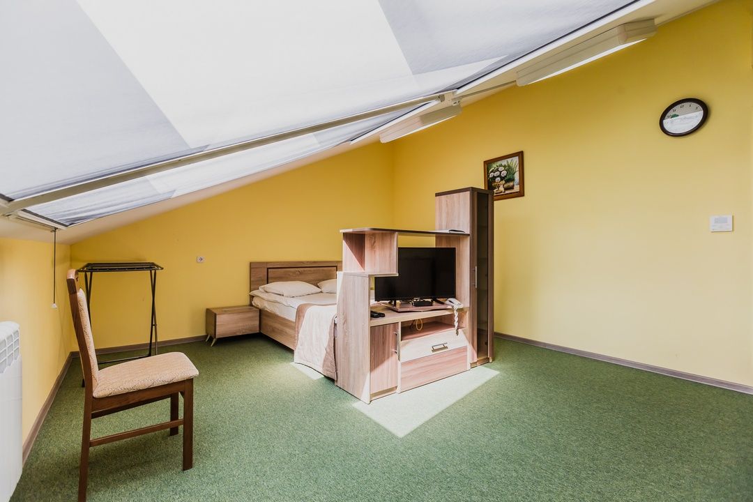 Стандартный 1-местный 1-комнатный мансарда корпус 2 (4)