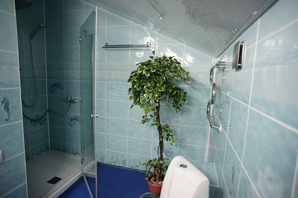 Люкс 2-местный корпус 3 с водопадом/камином