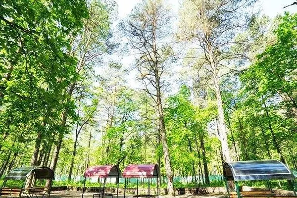 Мангальные площадки | Неман-72, Гродненская область