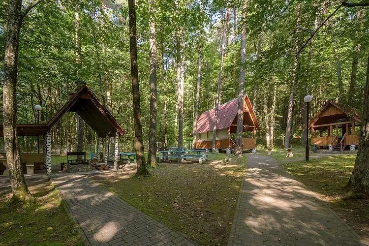 Территория | Пралеска, Гродненская область