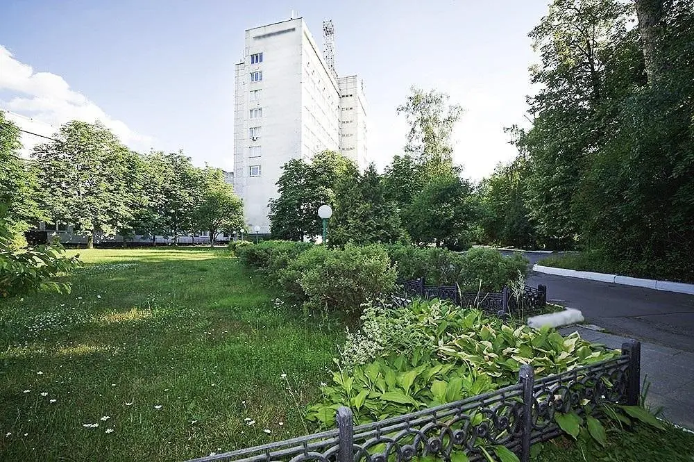 Светлана, Московская область: фото 2