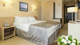 Стандарт Лайт 2-местный 4,5 этаж вид на город, Отель Sea Galaxy Congress & Spa Hotel, Сочи