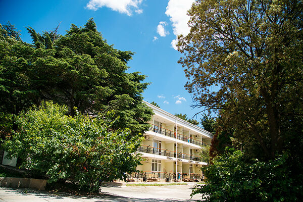 Территория | Нева, Крым