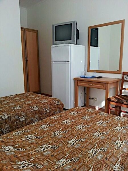 Стандарт 2-местный (4)