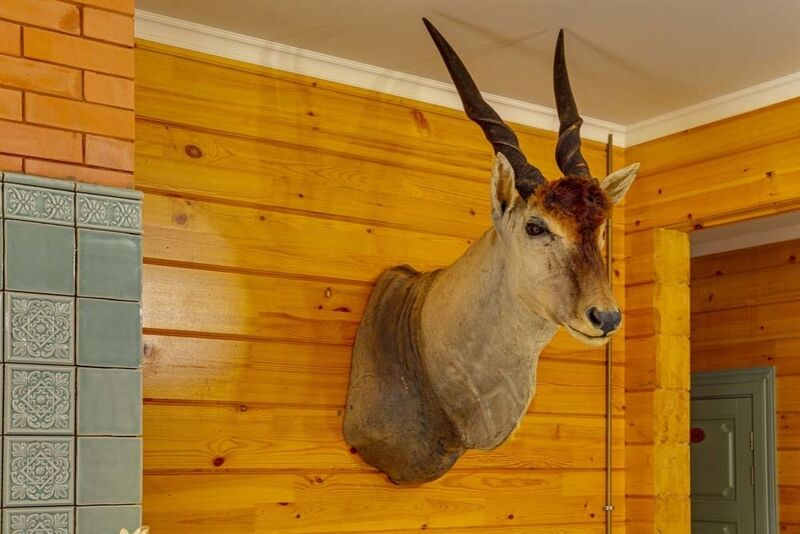 Делюкс 2-местный (Дом Сукачёва)