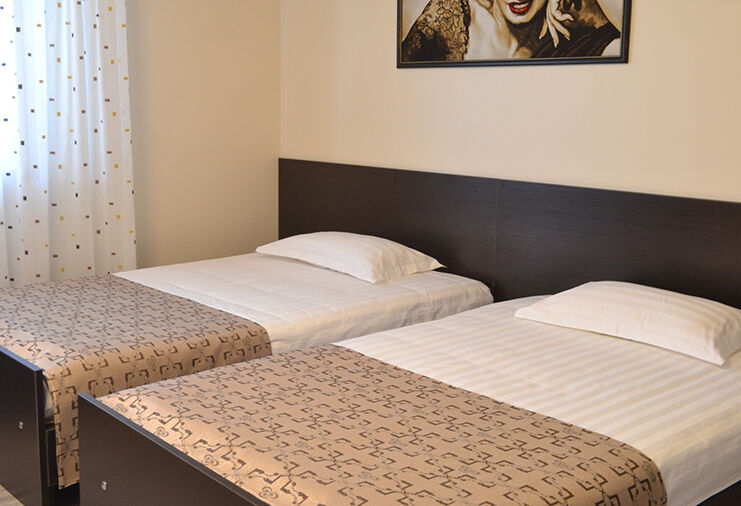 Комфорт 3-местный 1-комнатный