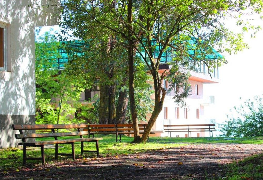 Территория | Эвкалиптовая роща, Очамчырский район