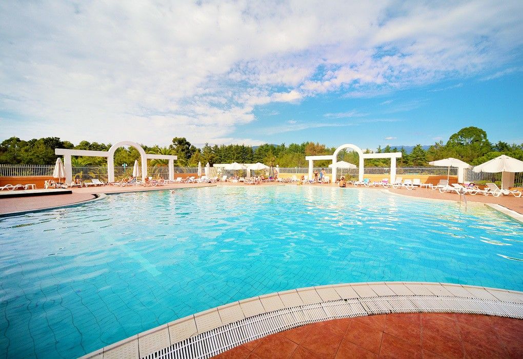 Самшитовая роща, Гагрский район: фото 5