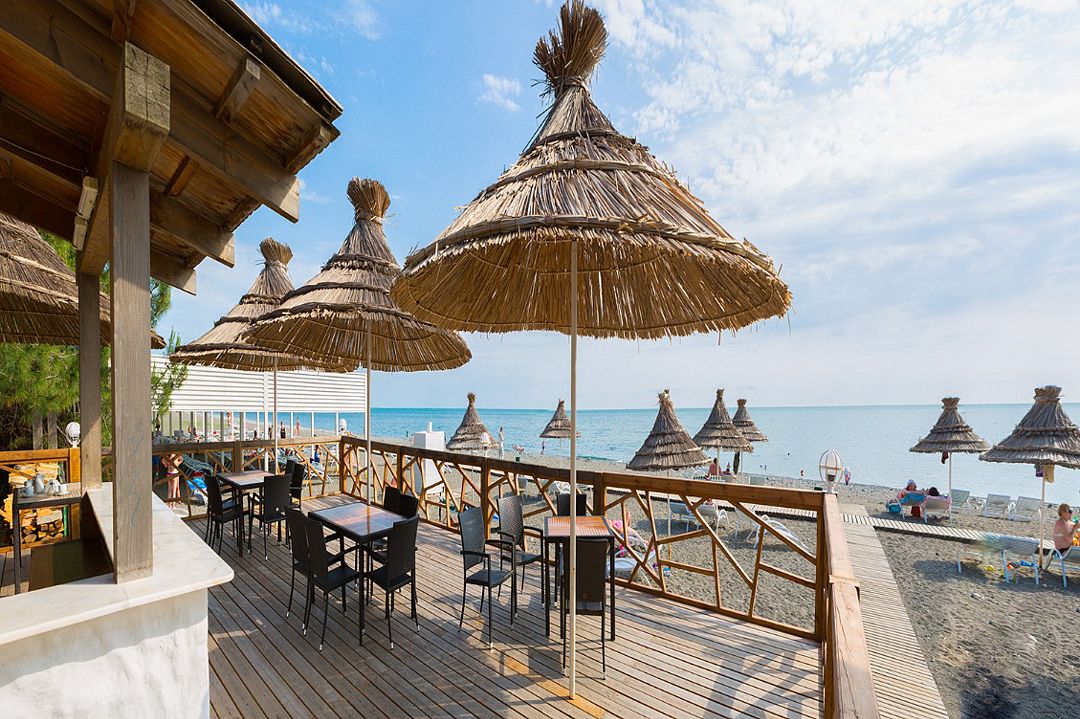 Самшитовая роща, Гагрский район: фото 4