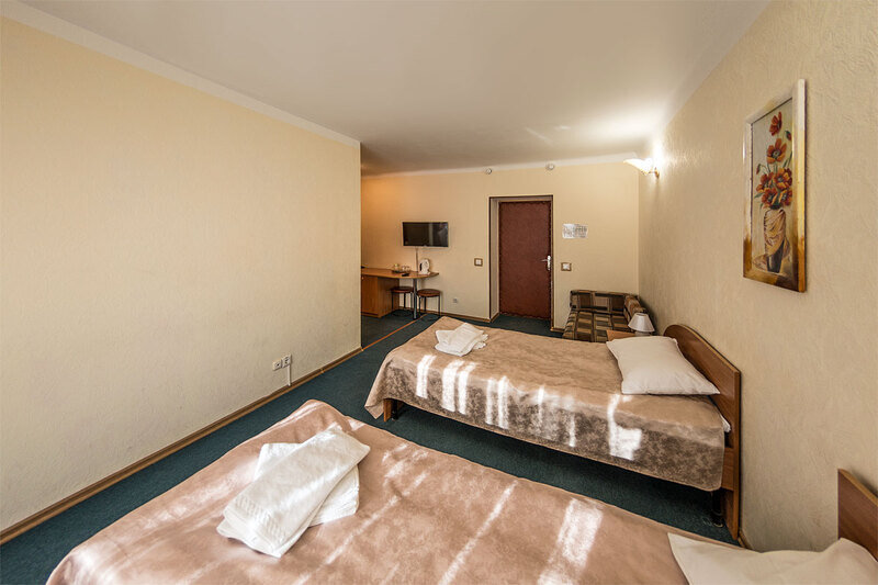 Стандартный 2-местный 1-комнатный Твин