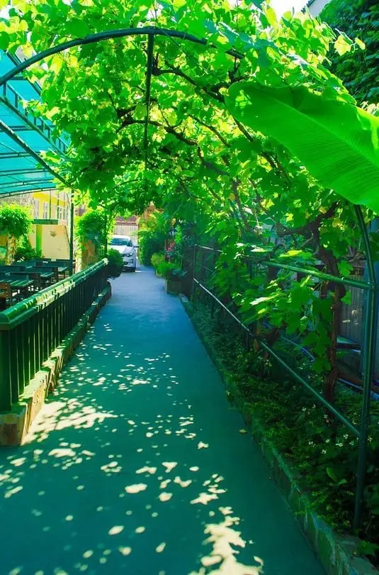 Территория | Тихая гавань, Краснодарский край