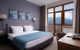 Premier room Suite 2-местный вид на горы, Отель Green Flow, Эстосадок