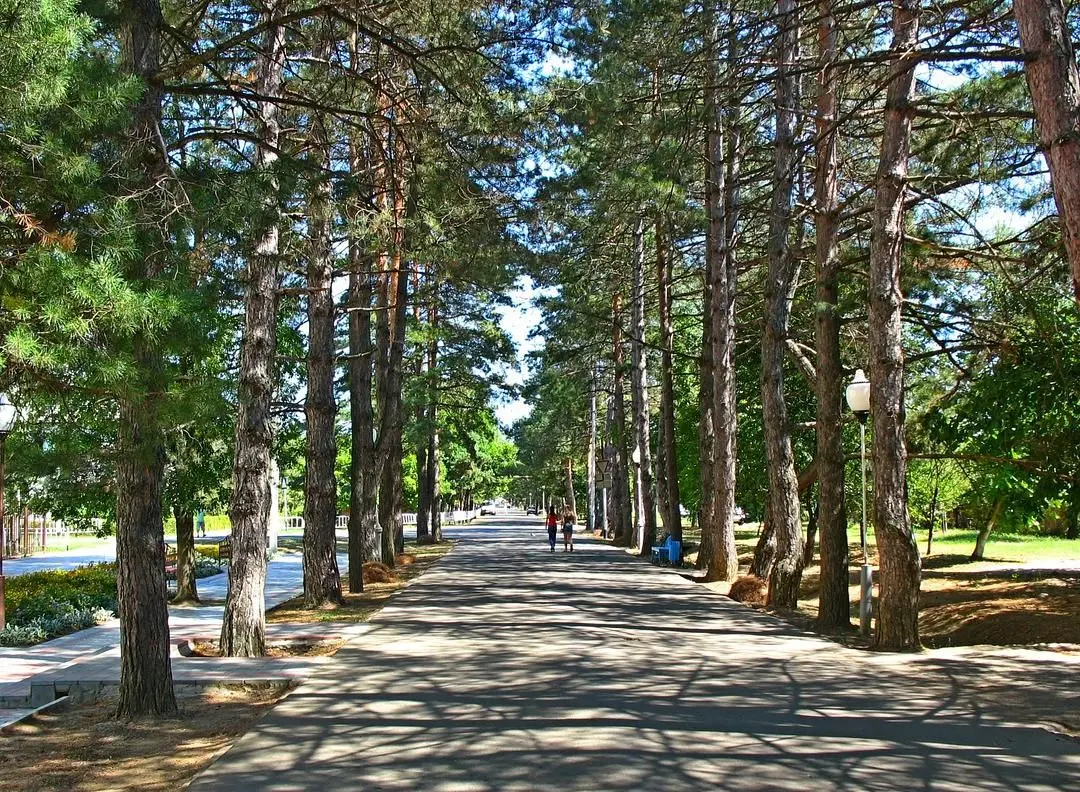 Residence Park Hotel, Краснодарский край: фото 3