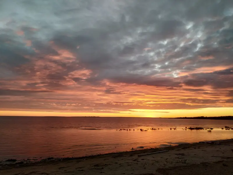 Кантри, Ленинградская область: фото 3