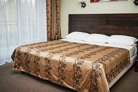 Полулюкс (Люкс малый), Санаторий Серебряный плес, Костромской район