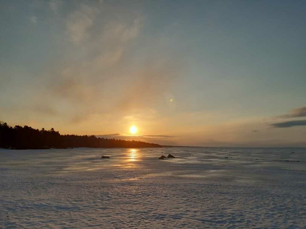 Фото из отзыва от 28.03.2022