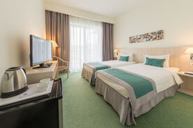 Двухместный стандарт с двумя раздельными кроватями, Сочи Парк Отель, Сочи