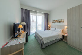 Двухместный стандарт с одной кроватью, Сочи Парк Отель, Сочи
