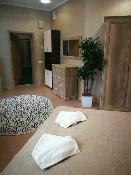 Премиум 1-местный Хайтек (3)