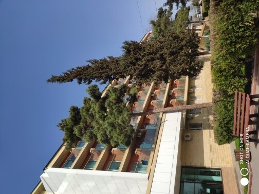 Фото из отзыва от 02.04.2022