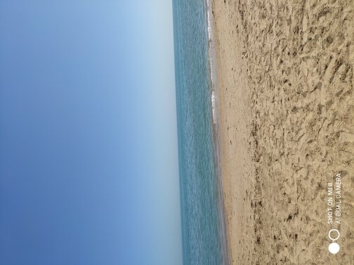 Фото из отзыва от 02.04.2022