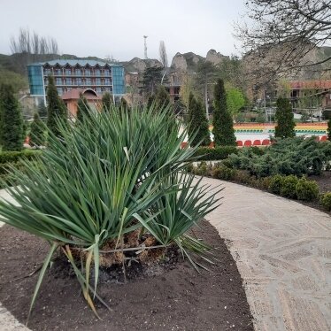 Фото из отзыва от 02.04.2022