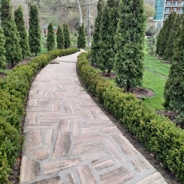 Фото из отзыва от 02.04.2022