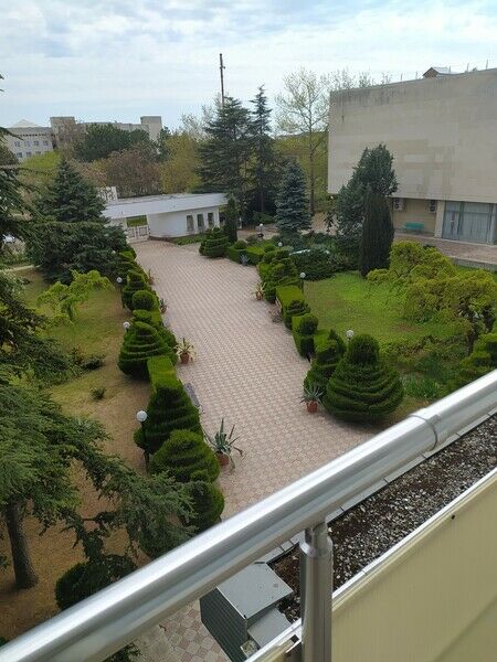 Джуниор сюит 2-местный 2-комнатный №403 (Юг) (2)