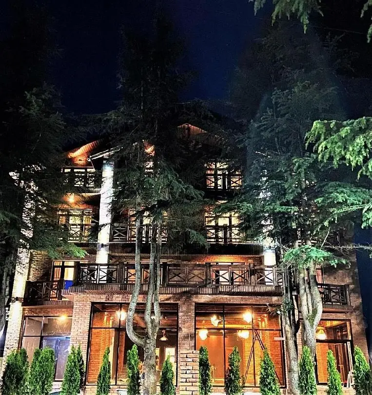 Отель Арт, Цандрипш, Гагрский район