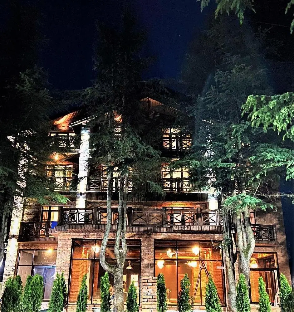 Отель Арт, Цандрипш, Гагрский район