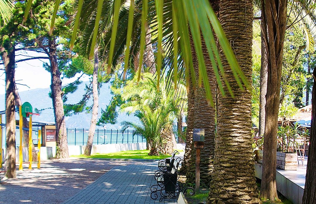 Территория | Жоэквара , Гагрский район