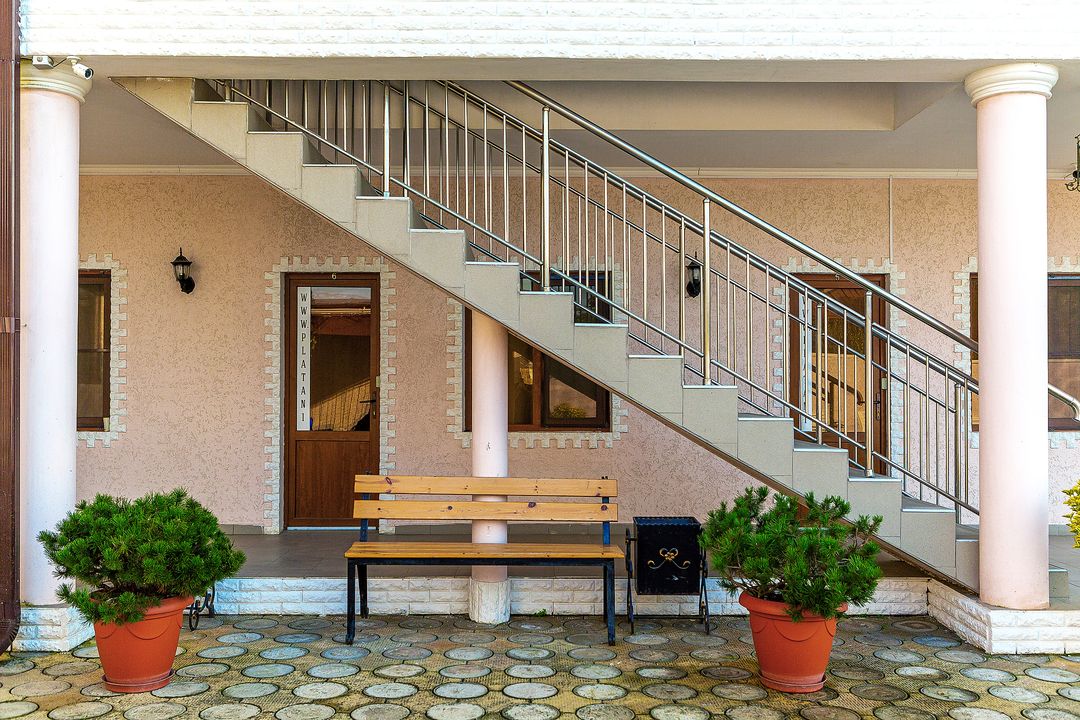 Внешний вид | Платан, Гагрский район