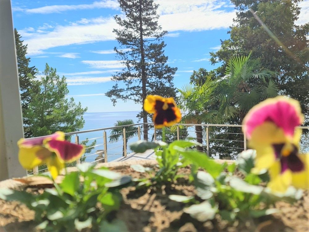 Территория | Garden Resort Gagra, Гагрский район