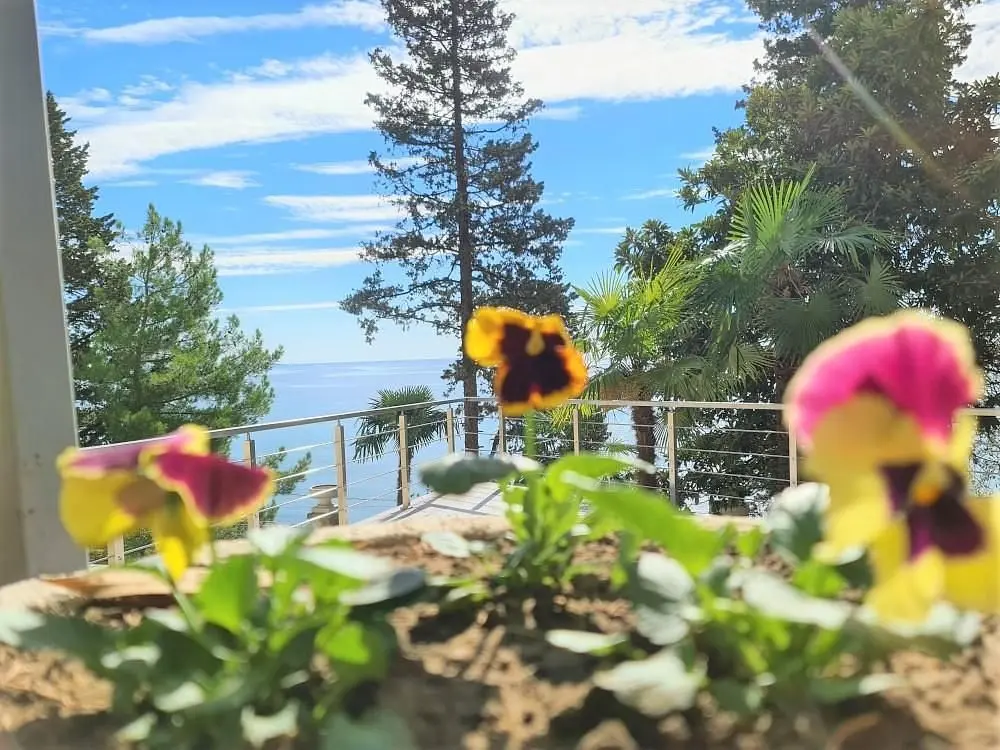 Территория | Garden Resort Gagra, Гагрский район