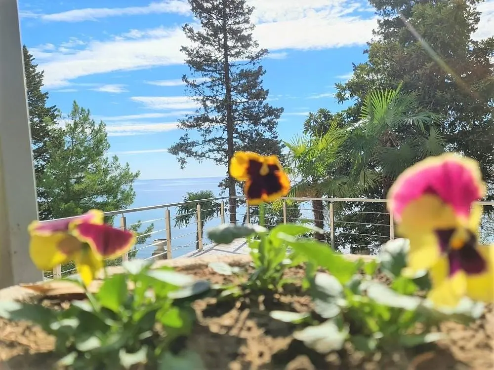 Территория | Garden Resort Gagra, Гагрский район
