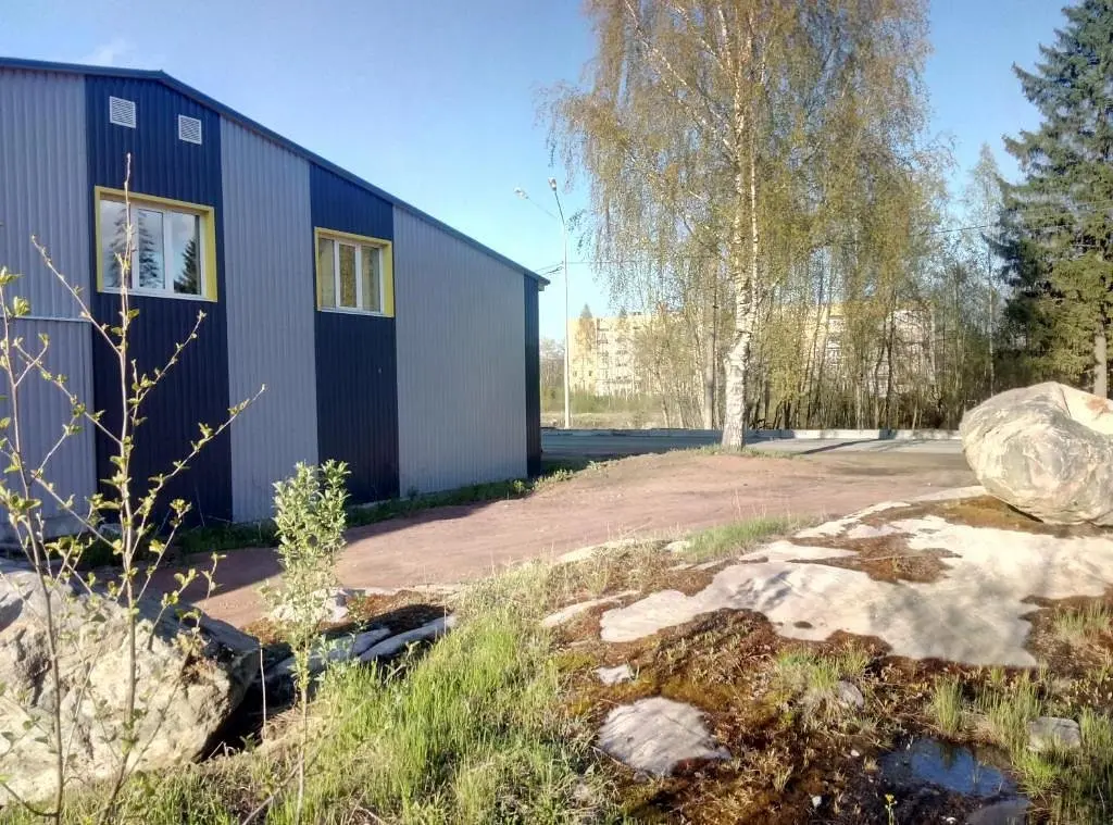 Отель Aleon Hotel, Сортавала, Республика Карелия