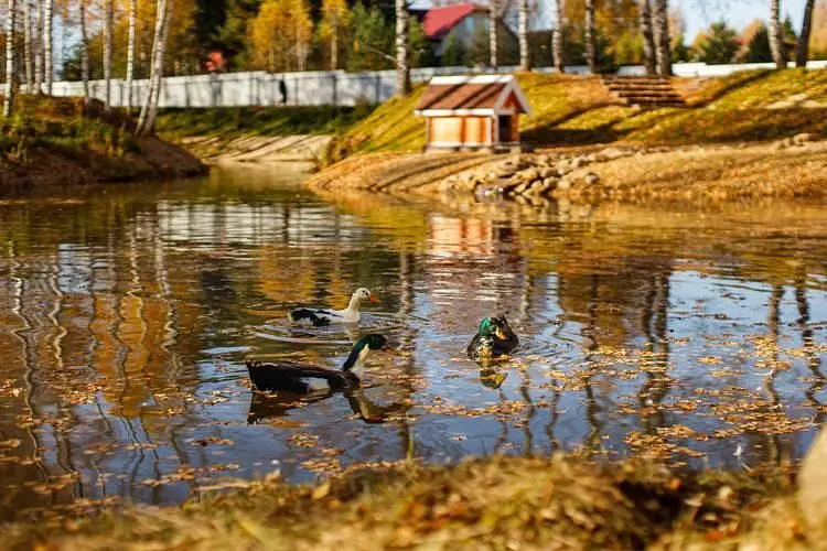 Территория | Агропарк Ясенево, Ярославская область