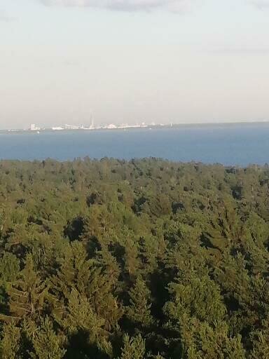 Фото из отзыва от 04.07.2022