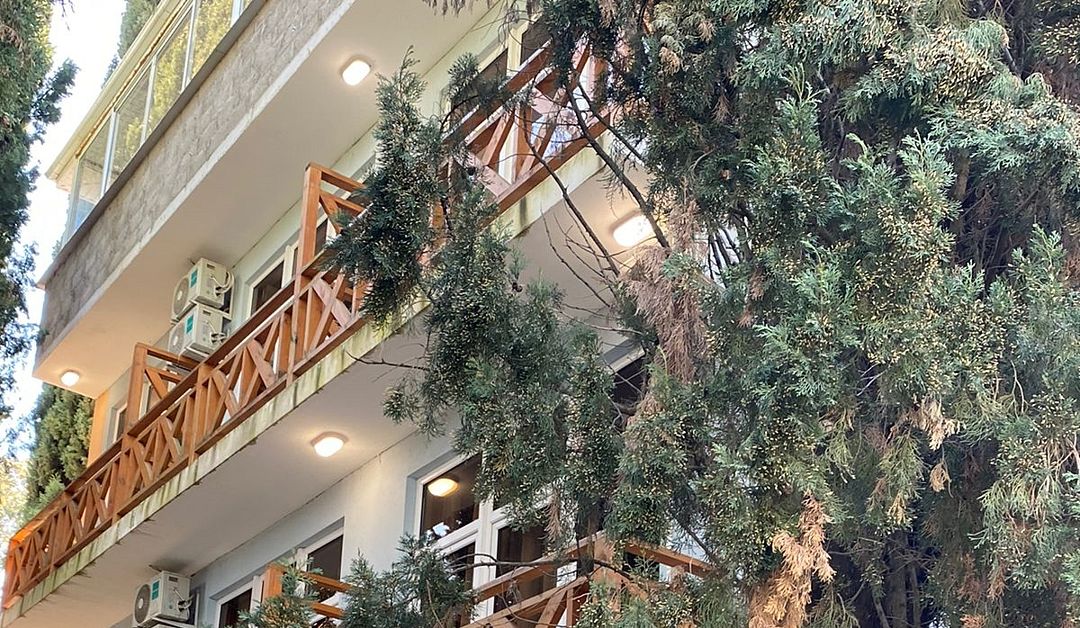 Внешний вид | Агучи, Гагрский район