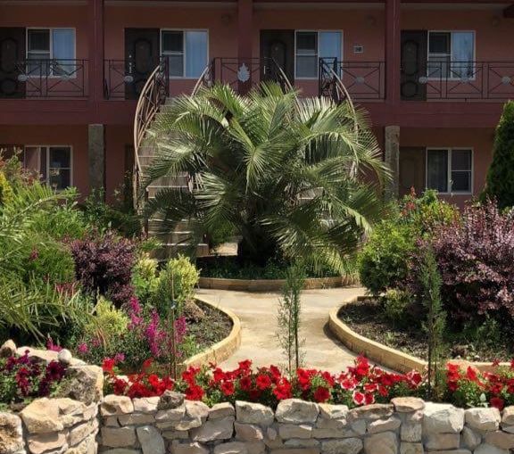 главн вид Новая 10 | Розовая Пантера, Гагрский район