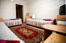 Стандарт 3-местный 1-комнатный, Санаторий Сосновый Бор, Барнаул