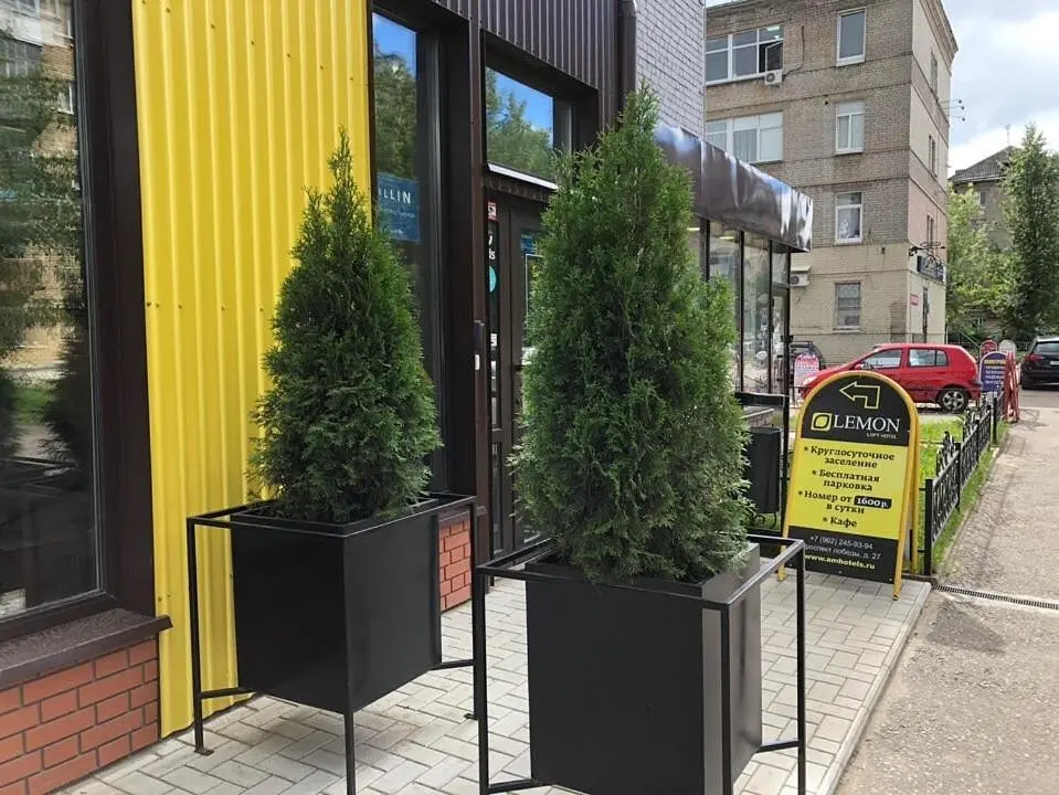 Гостиница Lemon Loft Hotel, Тверь, Тверская область