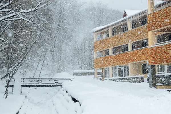 Фасад | Цахкаовит, Котайская область