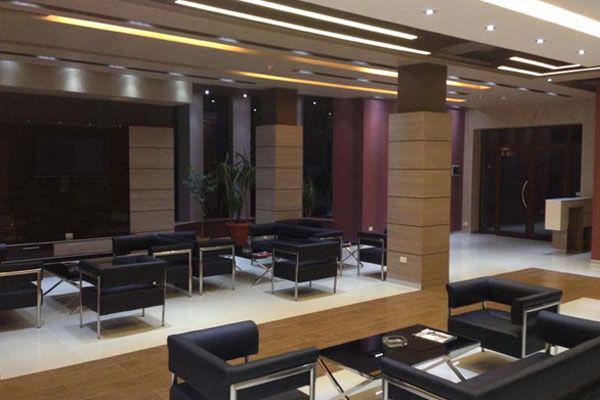 Лобби  | Alpina hotel, Котайская область