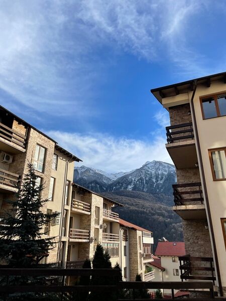 image-26-11-21-12-16-1