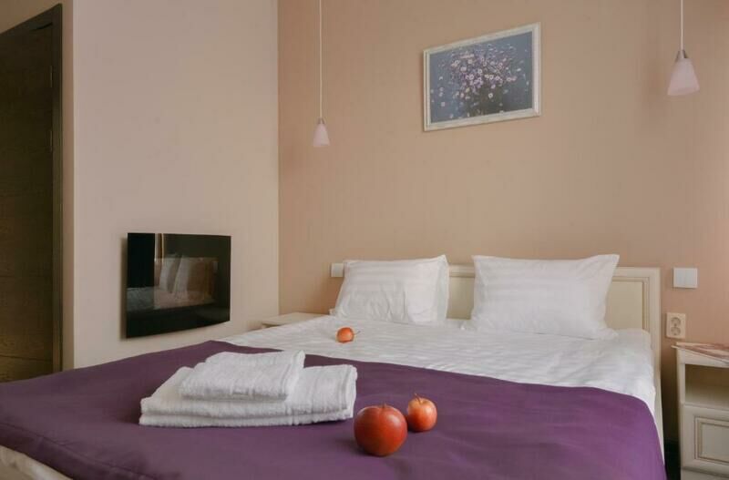 Стандартный 2-местный 1-комнатный (с электрокамином)