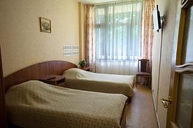 Однокомнатный двухместный Стандарт, Санаторий Удельная, Раменский район