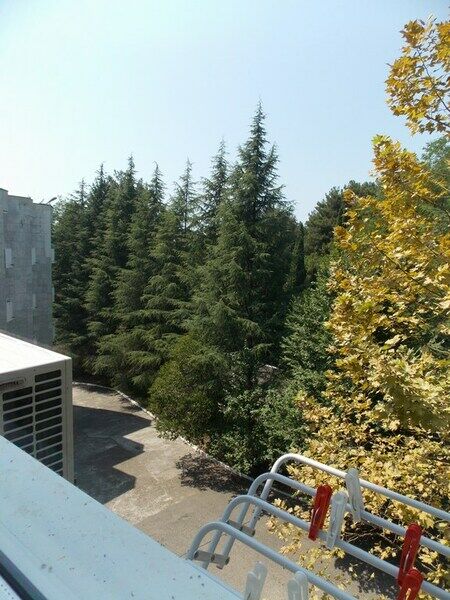 Стандарт + 2-местный 1-комнатный