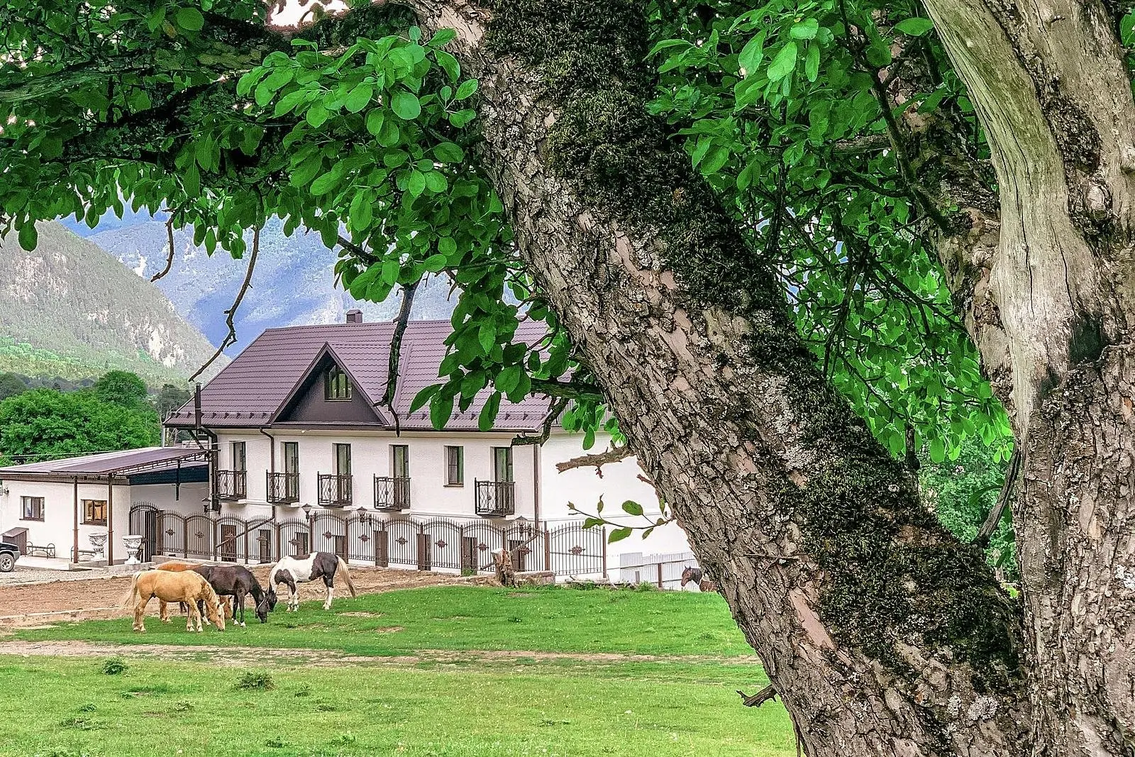 Отель Горная Роза, Архыз, Республика Карачаево-Черкесия