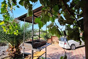 Территория